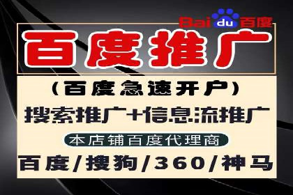 百度优化推广案例：打造行业领先品牌